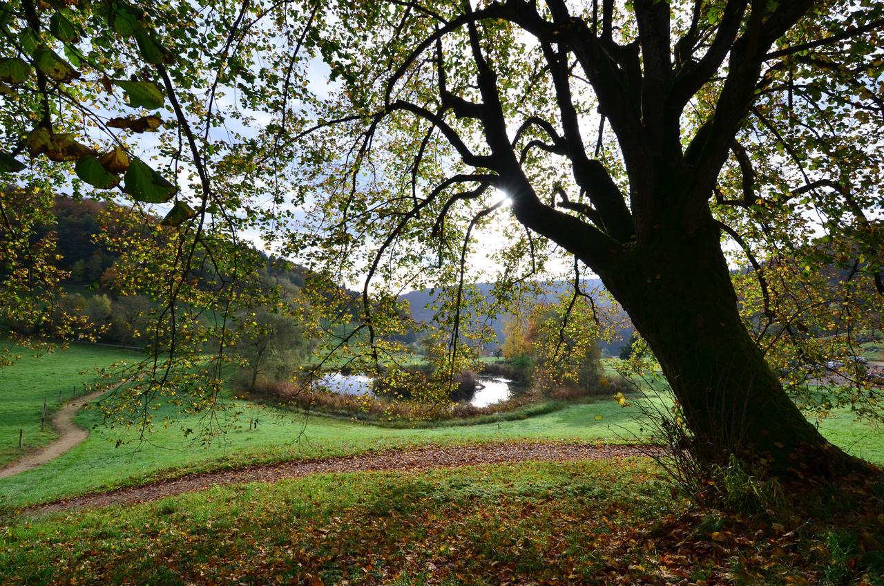 Bad Schauenburg 4* Liestal
