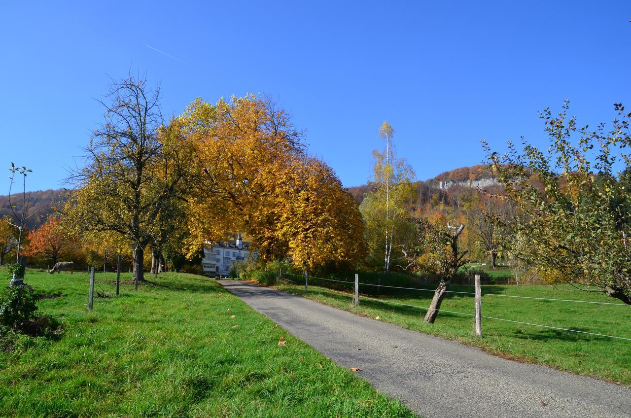 होटल Bad Schauenburg 4*