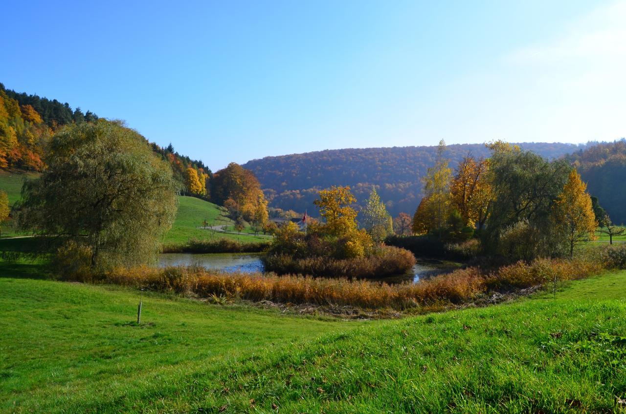 Bad Schauenburg होटल Liestal
