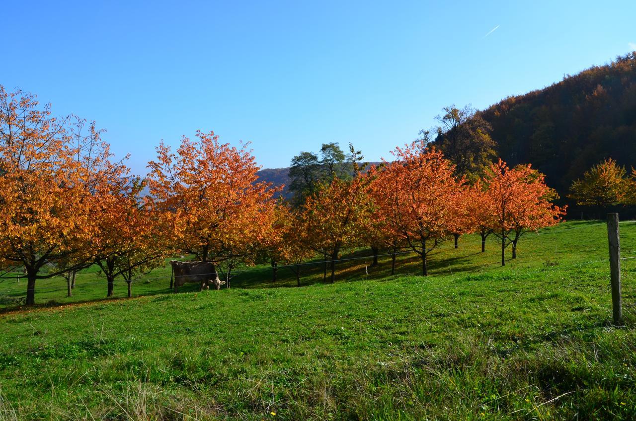 Bad Schauenburg Liestal